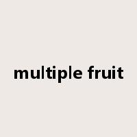 multiple fruit是什么意思