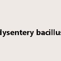 dysentery bacillus是什么意思
