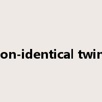 non-identical twins是什么意思