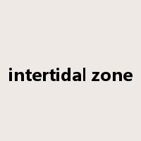 intertidal zone是什么意思