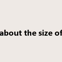 about the size of是什么意思