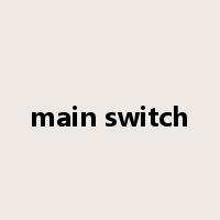 main switch是什么意思