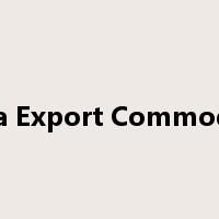 The China Export Commodities Fair是什么意思