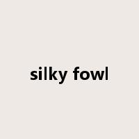 silky fowl是什么意思
