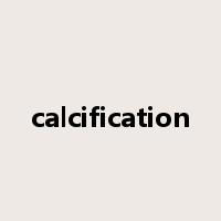 calcification是什么意思