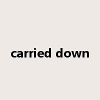 carried down是什么意思