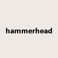 hammerhead是什么意思