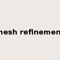 mesh refinement是什么意思