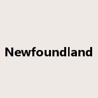 Newfoundland是什么意思