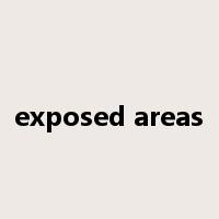 exposed areas是什么意思