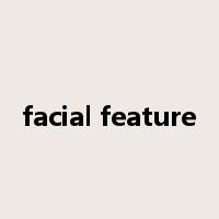 facial feature是什么意思
