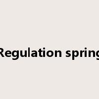 Regulation spring是什么意思