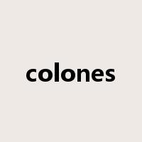 colones是什么意思