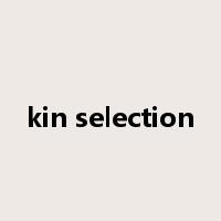 kin selection是什么意思