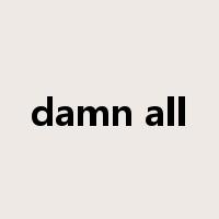 damn all是什么意思