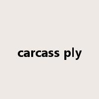 carcass ply是什么意思