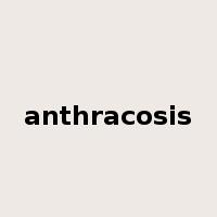 anthracosis是什么意思