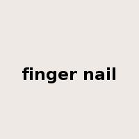 finger nail是什么意思