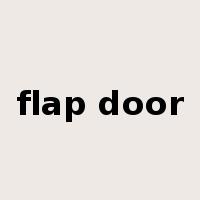 flap door是什么意思