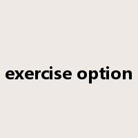 exercise option是什么意思