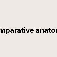 comparative anatomy是什么意思