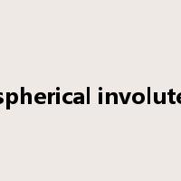 spherical involute是什么意思