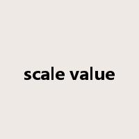 scale value是什么意思