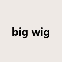 big wig是什么意思