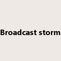 Broadcast storm是什么意思