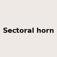 Sectoral horn是什么意思