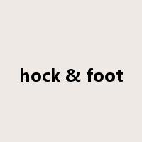 hock & foot是什么意思