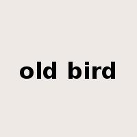 old bird是什么意思