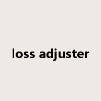 loss adjuster是什么意思