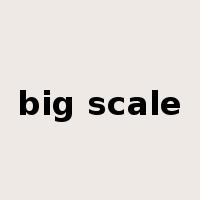 big scale是什么意思