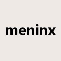 meninx是什么意思