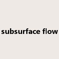 subsurface flow是什么意思
