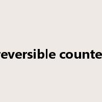 reversible counter是什么意思