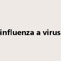 influenza a virus是什么意思