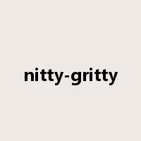 nitty-gritty是什么意思