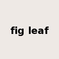 fig leaf是什么意思