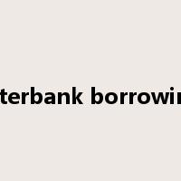 interbank borrowing是什么意思