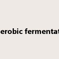 anaerobic fermentation是什么意思