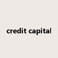 credit capital是什么意思