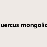 quercus mongolica是什么意思