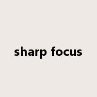 sharp focus是什么意思
