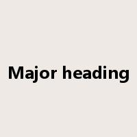 Major heading是什么意思