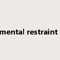 supplemental restraint system是什么意思