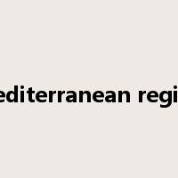 mediterranean region是什么意思