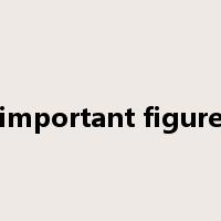 important figure是什么意思