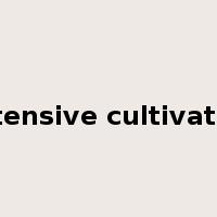 extensive cultivation是什么意思